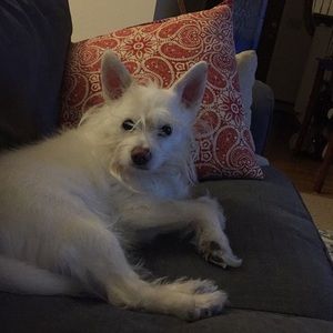 Meet your Posher, Rebecca